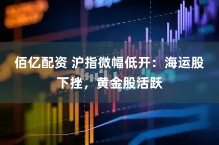 佰亿配资 沪指微幅低开：海运股下挫，黄金股活跃