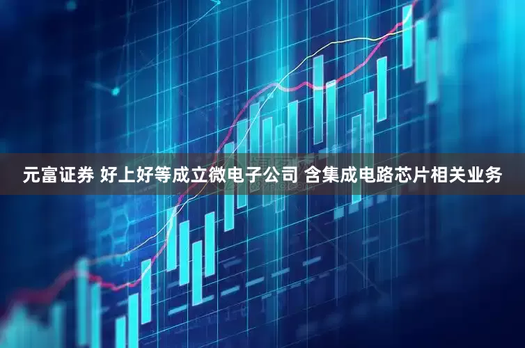 元富证券 好上好等成立微电子公司 含集成电路芯片相关业务