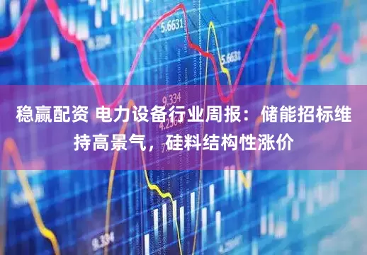 稳赢配资 电力设备行业周报：储能招标维持高景气，硅料结构性涨价