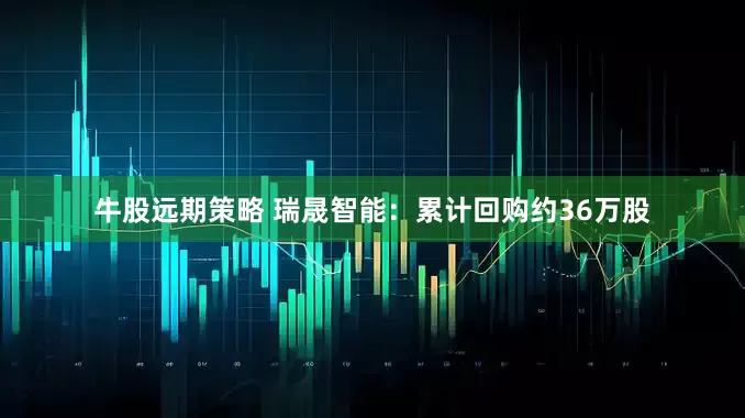 牛股远期策略 瑞晟智能：累计回购约36万股