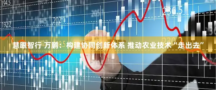 慧眼智行 万鹏：构建协同创新体系 推动农业技术“走出去”
