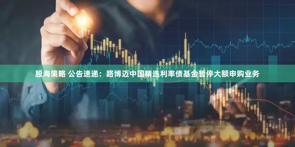 股海策略 公告速递：路博迈中国精选利率债基金暂停大额申购业务