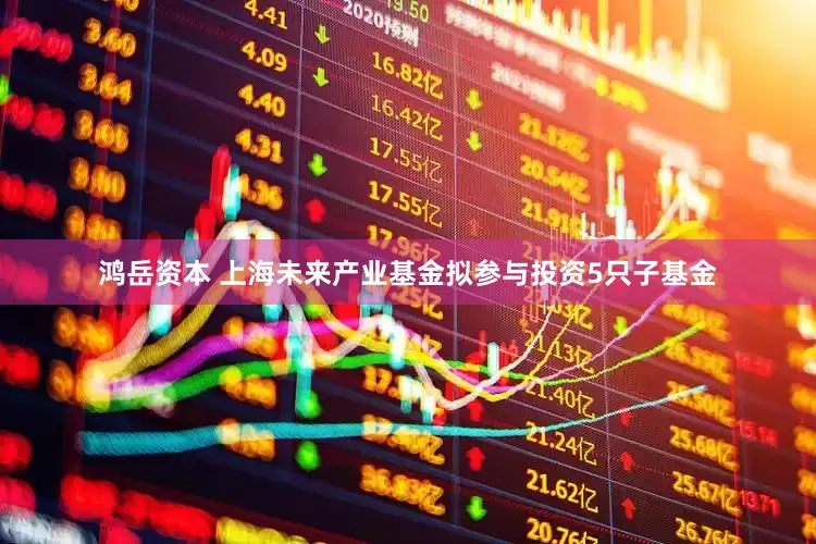 鸿岳资本 上海未来产业基金拟参与投资5只子基金