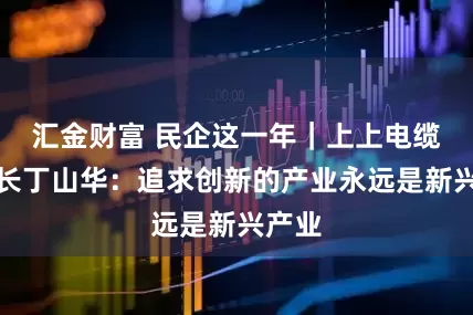 汇金财富 民企这一年｜上上电缆董事长丁山华：追求创新的产业永远是新兴产业
